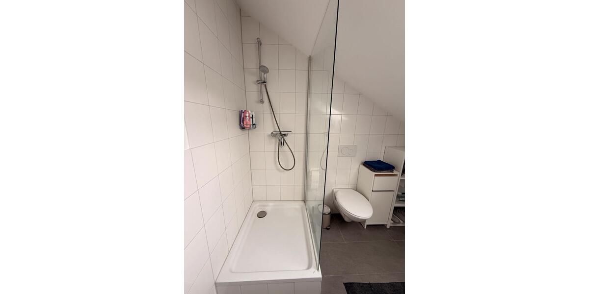 Dachgeschoßwohnung Mannheim Innenstadt - 1.5 Zimmer, 25 m&sup2;, 550&euro; | Angebot:26497866