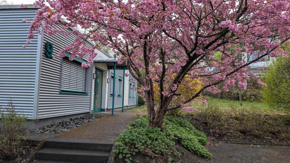 Gewerbeobjekt Siegen Eiserfeld - 600&euro; | Angebot:26644530