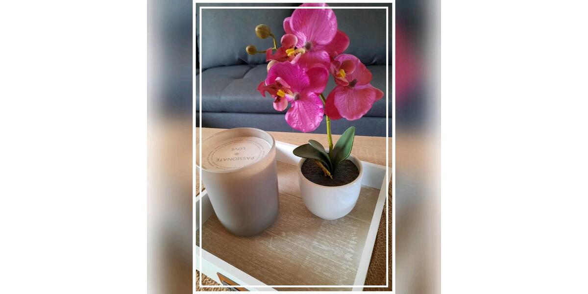 Wohnen auf Zeit 2 zimmer