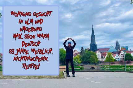 Wohnung in Ulm und Umgebung Max 550€ warm 1 zimmer