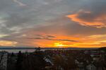 Wohnen auf Zeit Immenstaad am Bodensee - 1 Zimmer, 25 m&sup2;, 600&euro; | Angebot:26250485