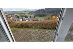 Erdgeschoßwohnung Geisingen - 1 Zimmer, 65 m&sup2;, 550&euro; | Angebot:26605053