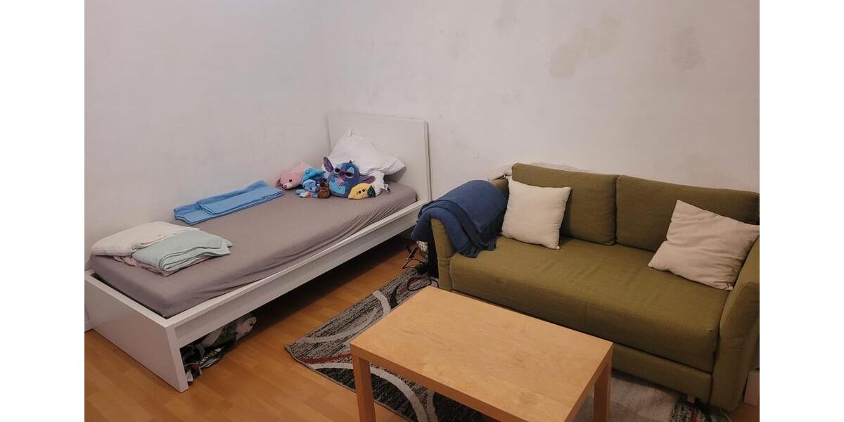 Wohnen auf Zeit Offenburg Elgersweier - 1 Zimmer, 20 m&sup2;, 559&euro; | Angebot:26031983