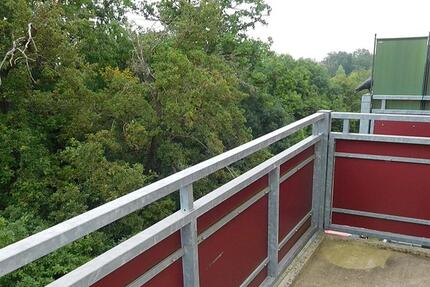 Barrierefreie Wohnung mit Balkon in ruhiger Lage! zimmer