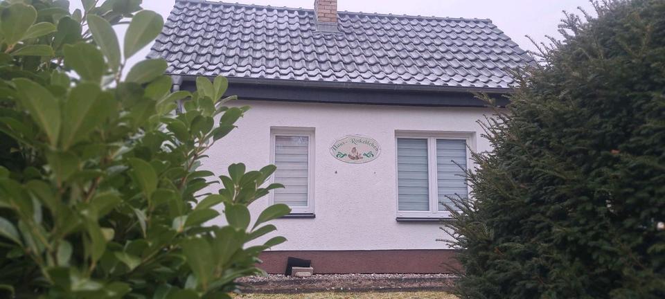 kleines Häuschen am Stechlin zu vermieten 1 zimmer