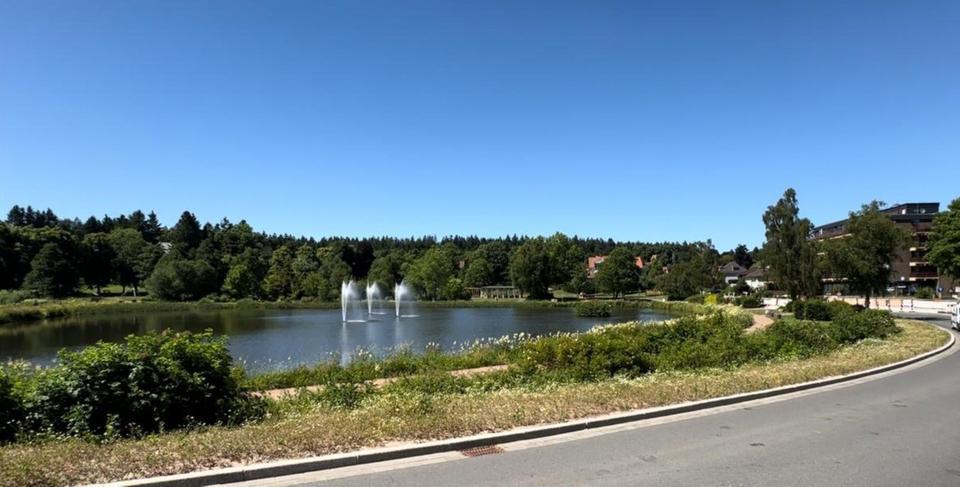 Restaurant am Kranichsee in Hahnenklee zur Pacht – ab 092025