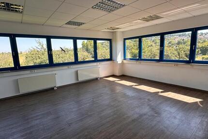 Helle und großzügige Bürofläche in Groß-Umstadt – provisionsfrei