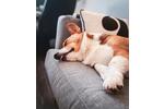 Einfamilienhaus Gescher - 5 Zimmer, 136 m&sup2;, 1.900&euro; | Angebot:26664301