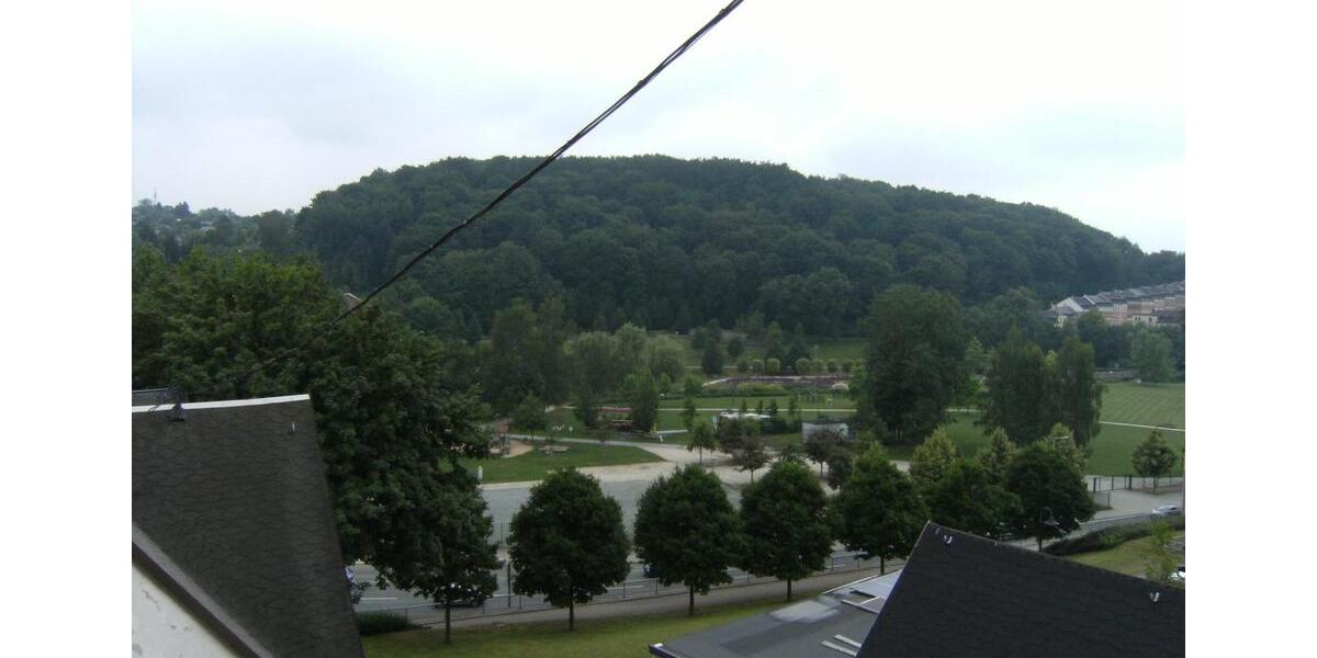 Dachgeschoßwohnung Reichenbach im Vogtland - 2 Zimmer, 51 m&sup2;, 230&euro; | Angebot:24617842