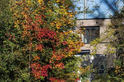 Wohnung Ibbenbüren - 2 Zimmer, 72 m&sup2;, 1.160&euro; | Angebot:23634954