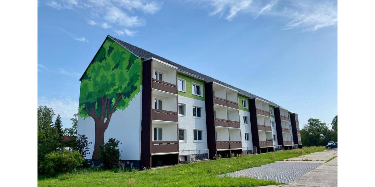 Etagenwohnung Zörbig - 3 Zimmer, 60 m&sup2;, 380&euro; | Angebot:24933908