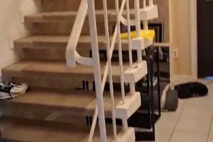 Wohnung Reinbek - 3 Zimmer, 65 m&sup2;, 1.080&euro; | Angebot:26568616