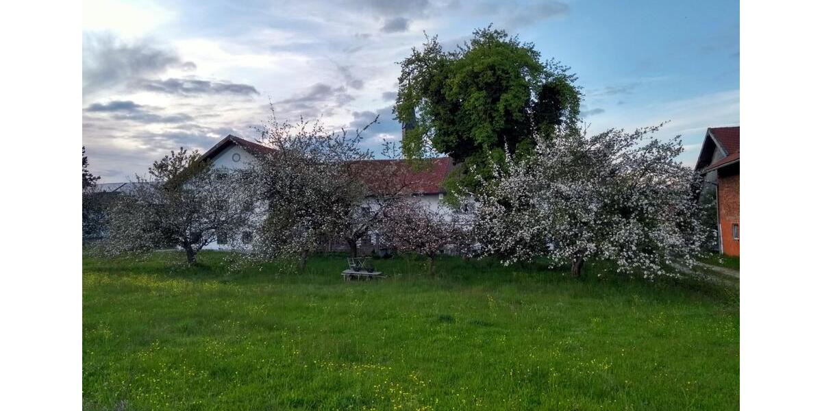 Wohnen auf Zeit Haag in Oberbayern - 5 Zimmer, 200 m&sup2;, 350&euro; | Angebot:25978002