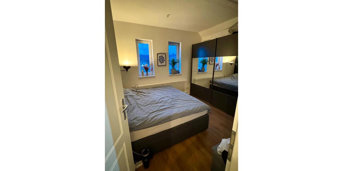 Dachgeschoßwohnung Trier - 1 Zimmer, 67 m&sup2;, 785&euro; | Angebot:26482396