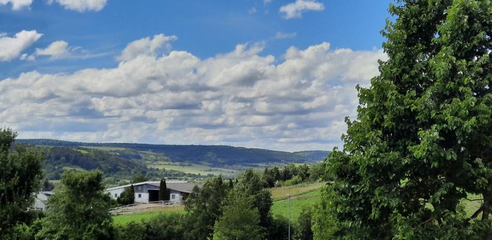 Erdgeschoßwohnung Tauberbischofsheim - 2.5 Zimmer, 67 m&sup2;, 890&euro; | Angebot:26022438