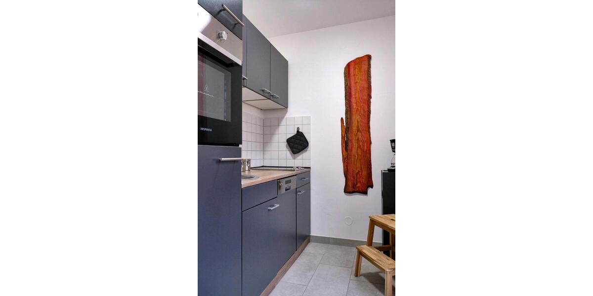 Wohnen auf Zeit Chemnitz Rabenstein - 1 Zimmer, 24 m&sup2;, 700&euro; | Angebot:25401876