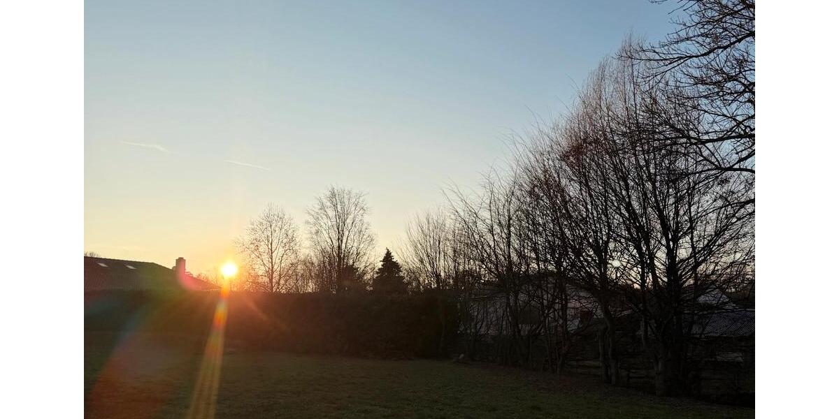 Erdgeschoßwohnung Eilenburg - 1 Zimmer, 26 m&sup2;, 312&euro; | Angebot:23808706