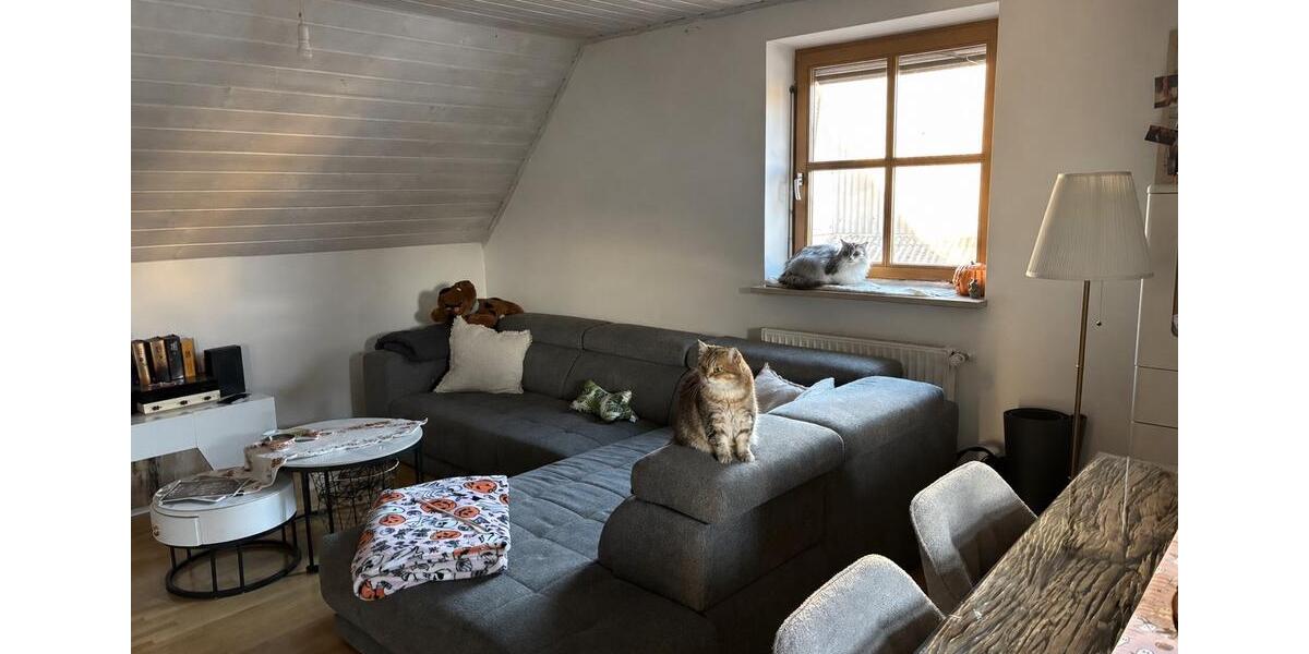 Einfamilienhaus Sulzemoos Wiedenzhausen - 4 Zimmer, 154 m&sup2;, 1.925&euro; | Angebot:26634684