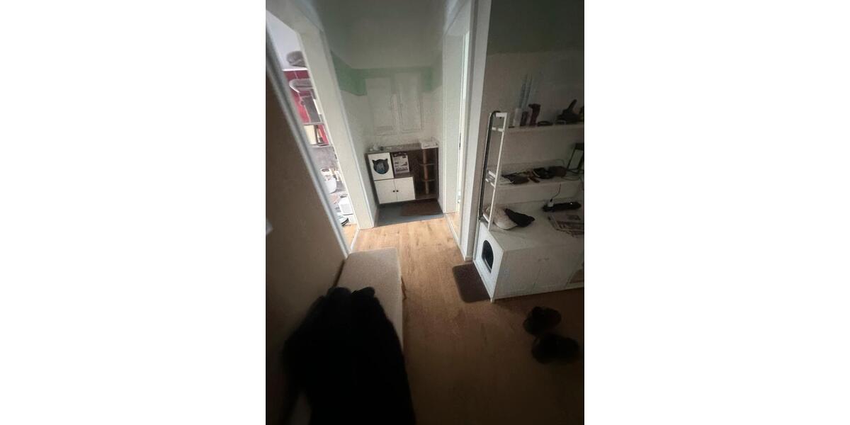 Etagenwohnung Mügeln - 1 Zimmer, 80 m&sup2;, 1.066&euro; | Angebot:24991513