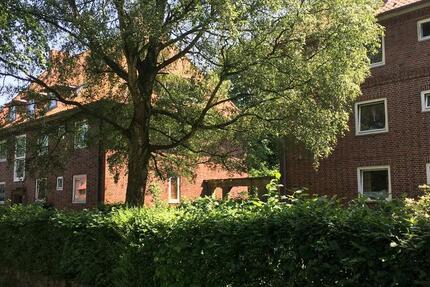 Gemütliche 3-Zimmer Wohnung zimmer