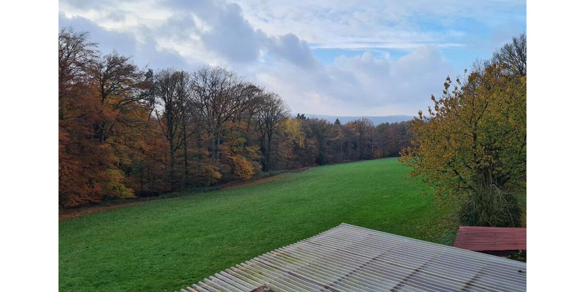 Etagenwohnung Hasbergen - 4 Zimmer, 90 m&sup2;, 750&euro; | Angebot:24654659