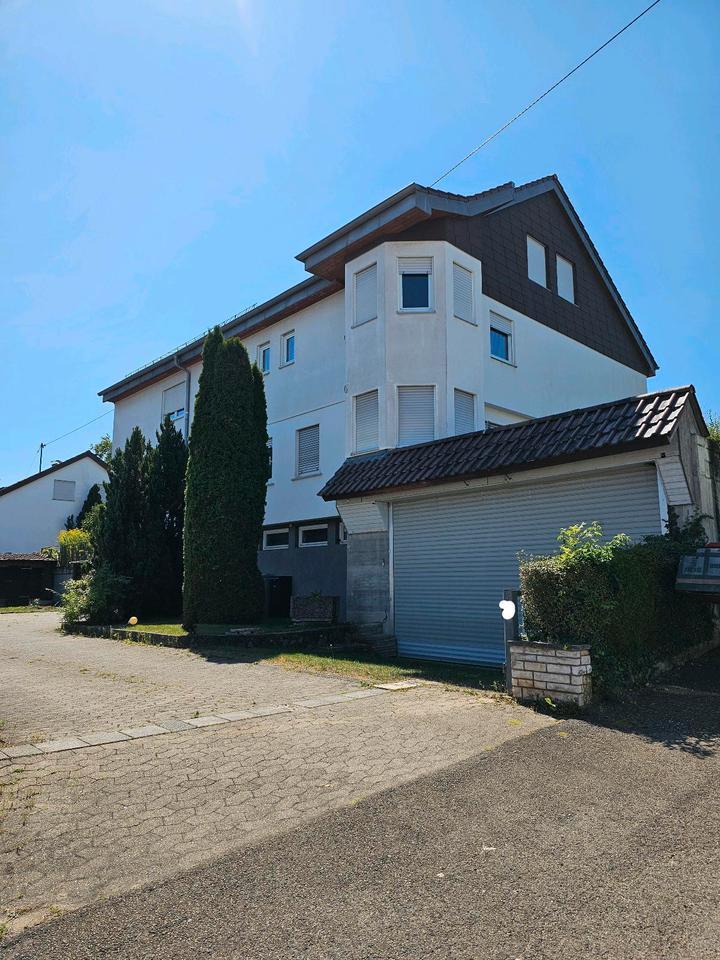 WG-Gründung