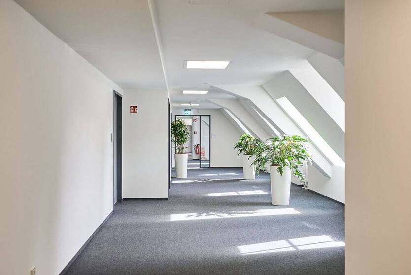 Großzügige Büromieteinheit mit CAT6-Verkabelung - All-in-Miete