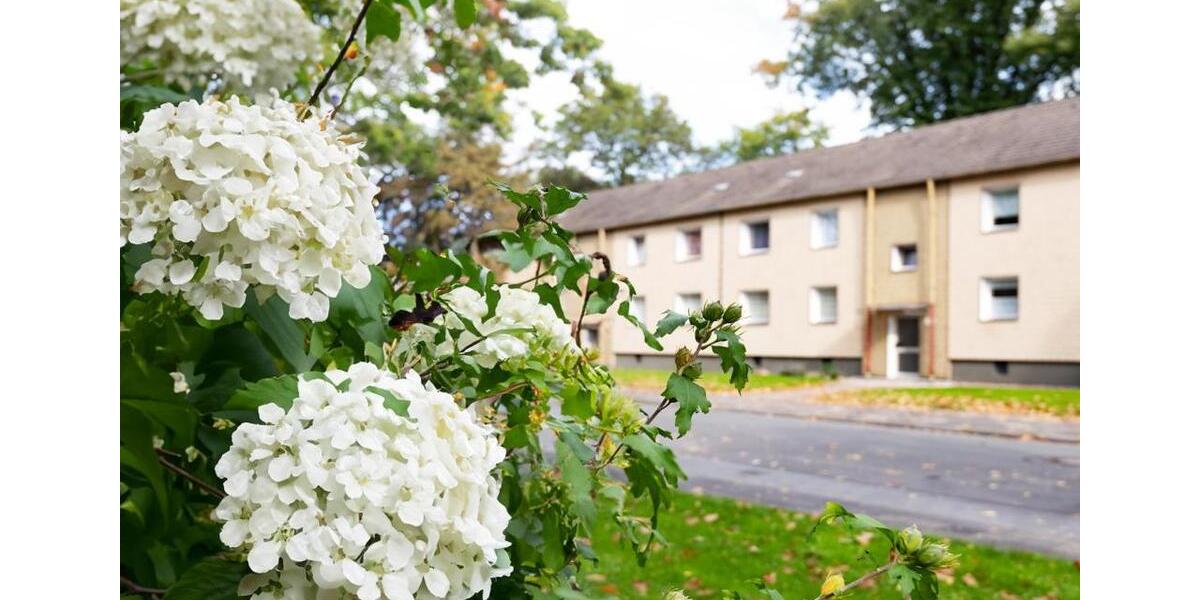 Klein, fein, zentral: EG-Wohnglück auf zwei Zimmern 2 zimmer