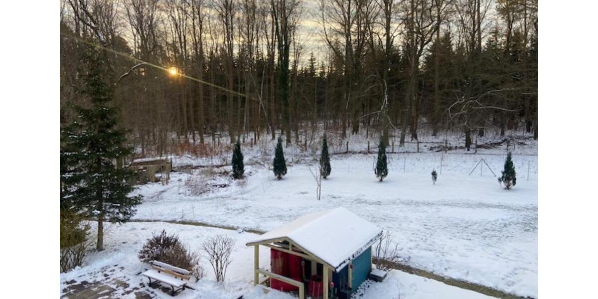 Etagenwohnung Mühlhausen (Thüringen) - 1 Zimmer, 45 m&sup2;, 795&euro; | Angebot:24875452