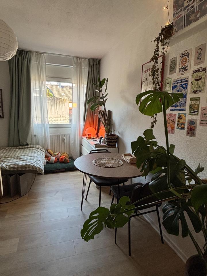 1 Zimmer Wohnung Apartment Mainz Altstadt