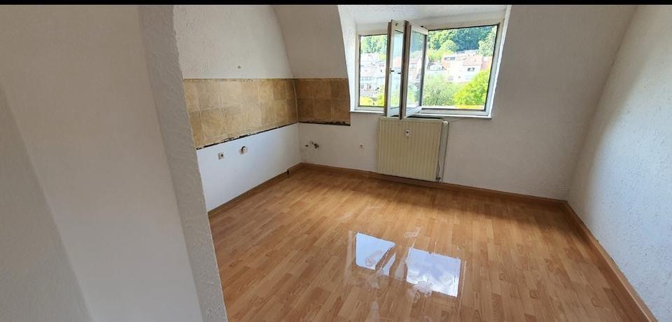 1,5 Zimmer-Wohnung im Altenkessel -sehr ruhige Lage