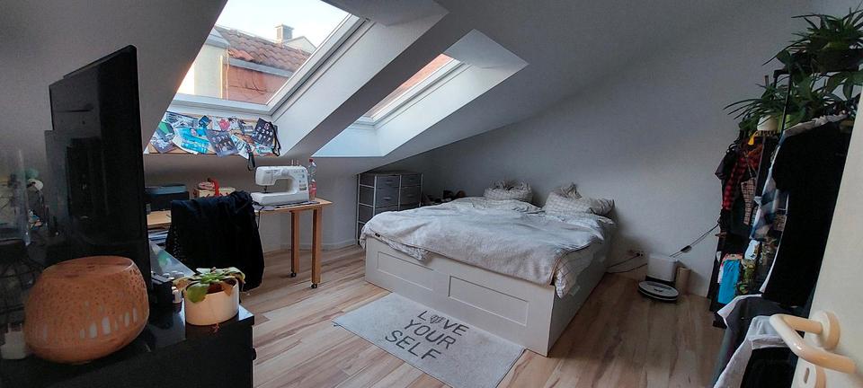 Dachgeschoßwohnung Frankenberg (Sachsen) - 2 Zimmer, 43 m&sup2;, 395&euro; | Angebot:25026034