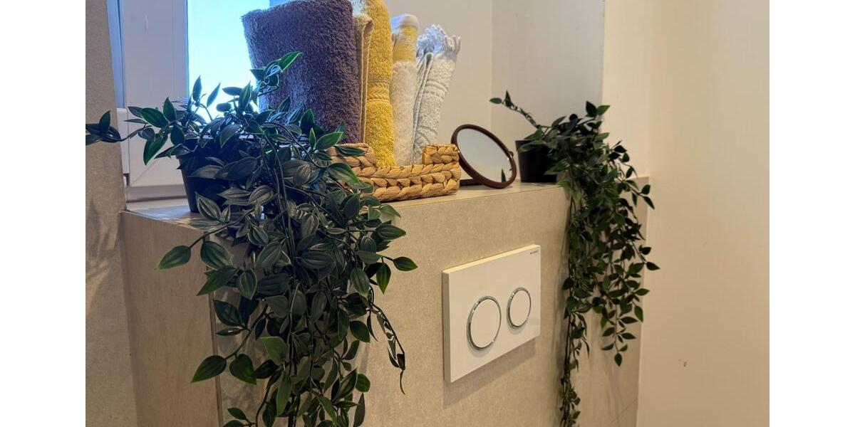 Wohnen auf Zeit Dossenheim - 3 Zimmer, 20&euro; | Angebot:22363361