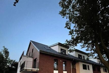 EG Wohnung mit Terrasse Neubau zu vermieten 2 zimmer