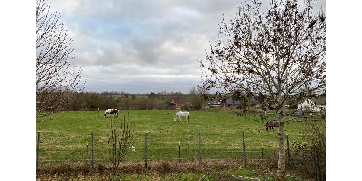 Dachgeschoßwohnung Hohenfelde - 4 Zimmer, 95 m&sup2;, 1.300&euro; | Angebot:25976380