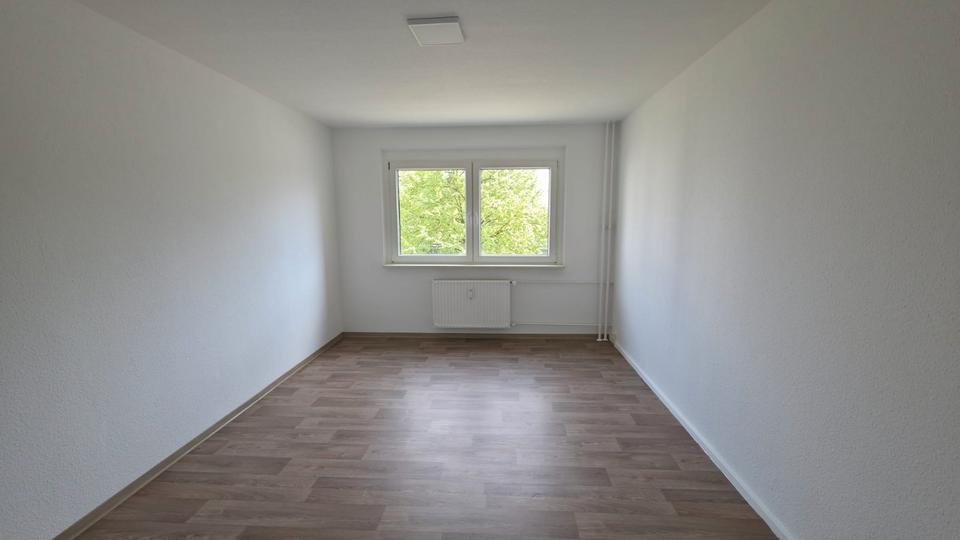 Etagenwohnung Ferdinandshof - 3 Zimmer, 58 m&sup2;, 390&euro; | Angebot:26261626