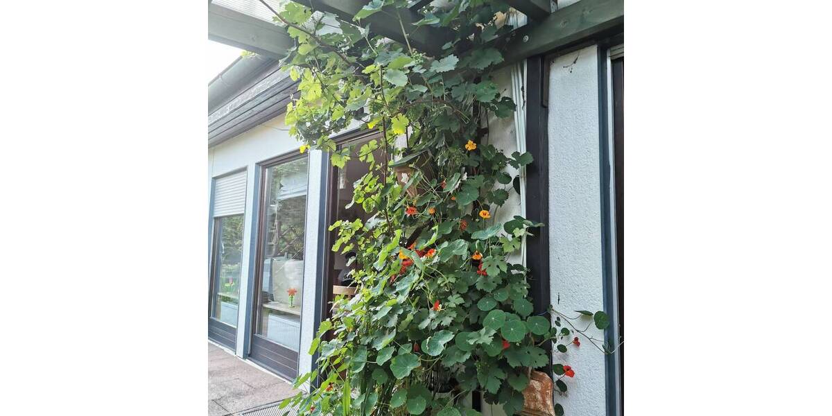 Etagenwohnung Kalchreuth Röckenhof - 4 Zimmer, 105 m&sup2;, 1.110&euro; | Angebot:25997339