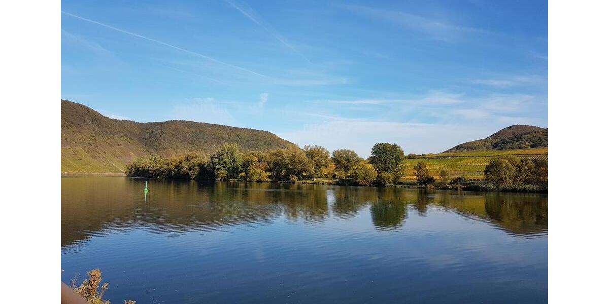 Etagenwohnung Ellenz-Poltersdorf Poltersdorf - 2 Zimmer, 40 m&sup2;, 49&euro; | Angebot:25995987