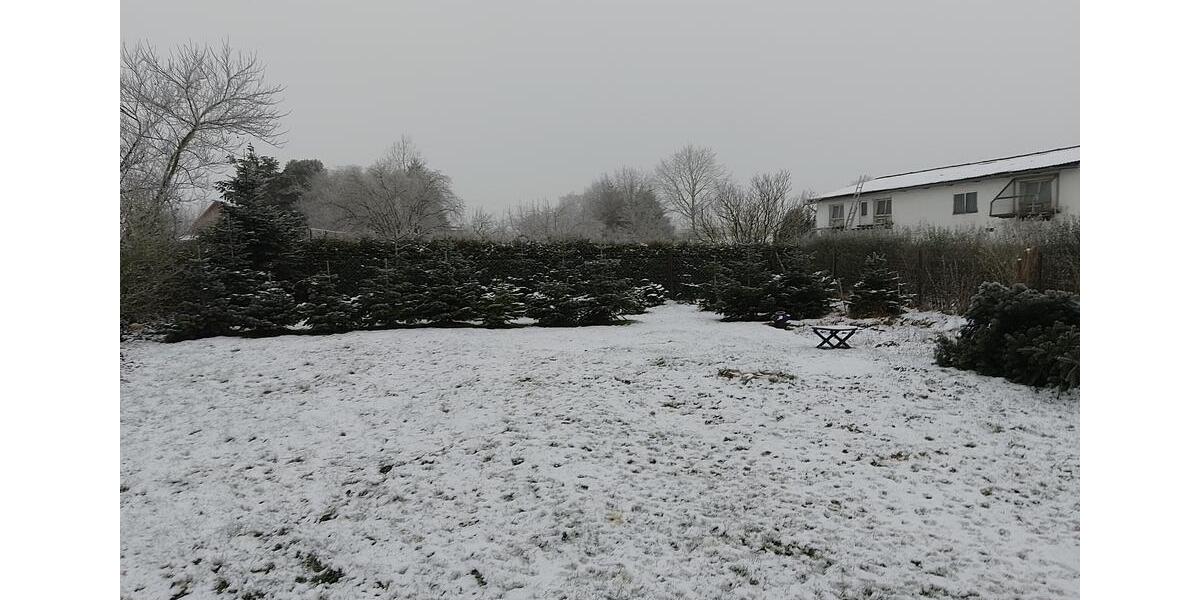 Etagenwohnung Hankensbüttel - 4 Zimmer, 120 m&sup2;, 880&euro; | Angebot:24663088