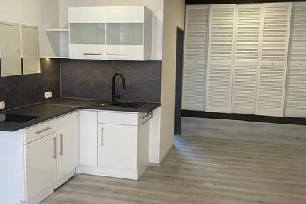 Neu renoviertes und saniertes Apartment direkt am Holzbendenpark 1 zimmer