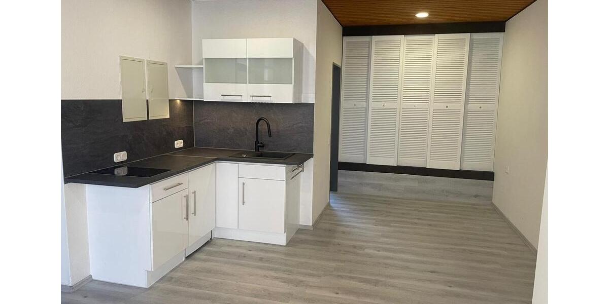 Neu renoviertes und saniertes Apartment direkt am Holzbendenpark 1 zimmer