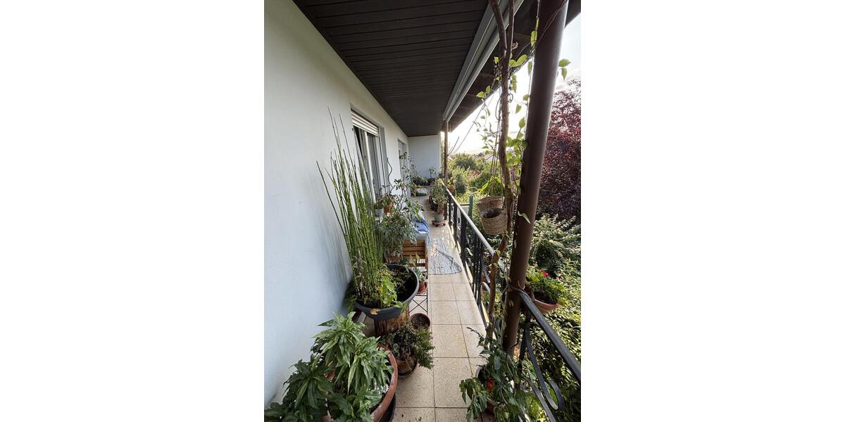 Etagenwohnung Schierling - 3 Zimmer, 88 m&sup2;, 800&euro; | Angebot:24816208