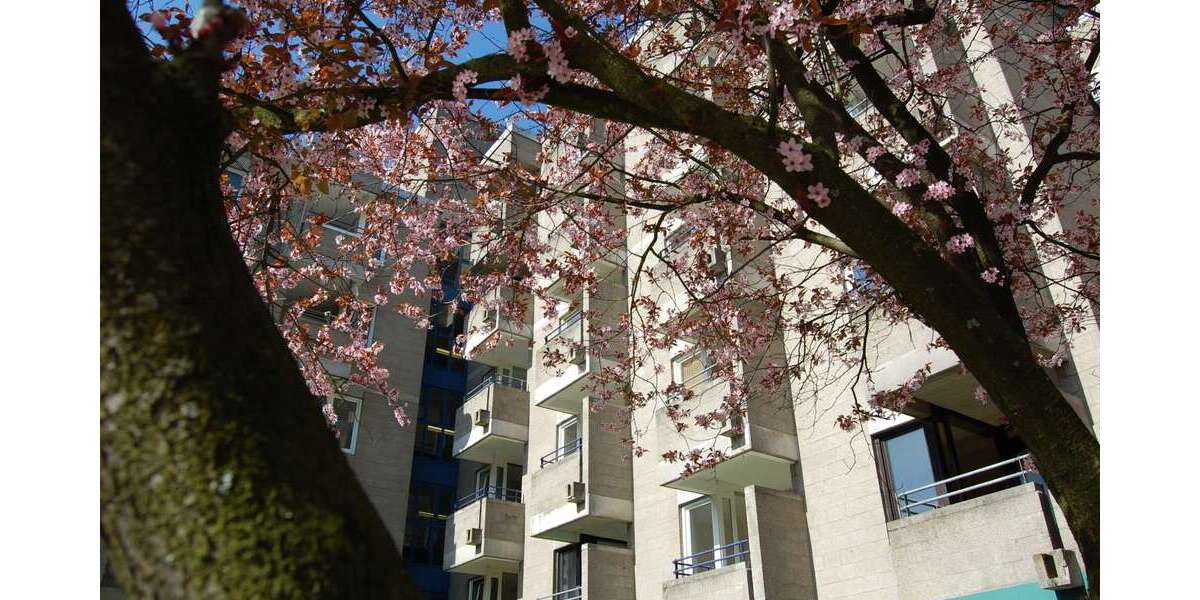 Wohnung zum Mieten in Schwelm, Ennepe-Ruhr-Kreis 545 € 58 m² 2 zimmer