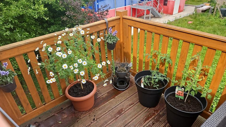 Maisonettenwohnung Bremerhaven Lehe - 2.5 Zimmer, 50 m&sup2;, 600&euro; | Angebot:26705255