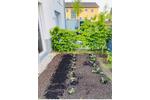 Erdgeschoßwohnung München Aubing-Lochhausen-Langwied - 2 Zimmer, 75 m&sup2;, 1.500&euro; | Angebot:26627240