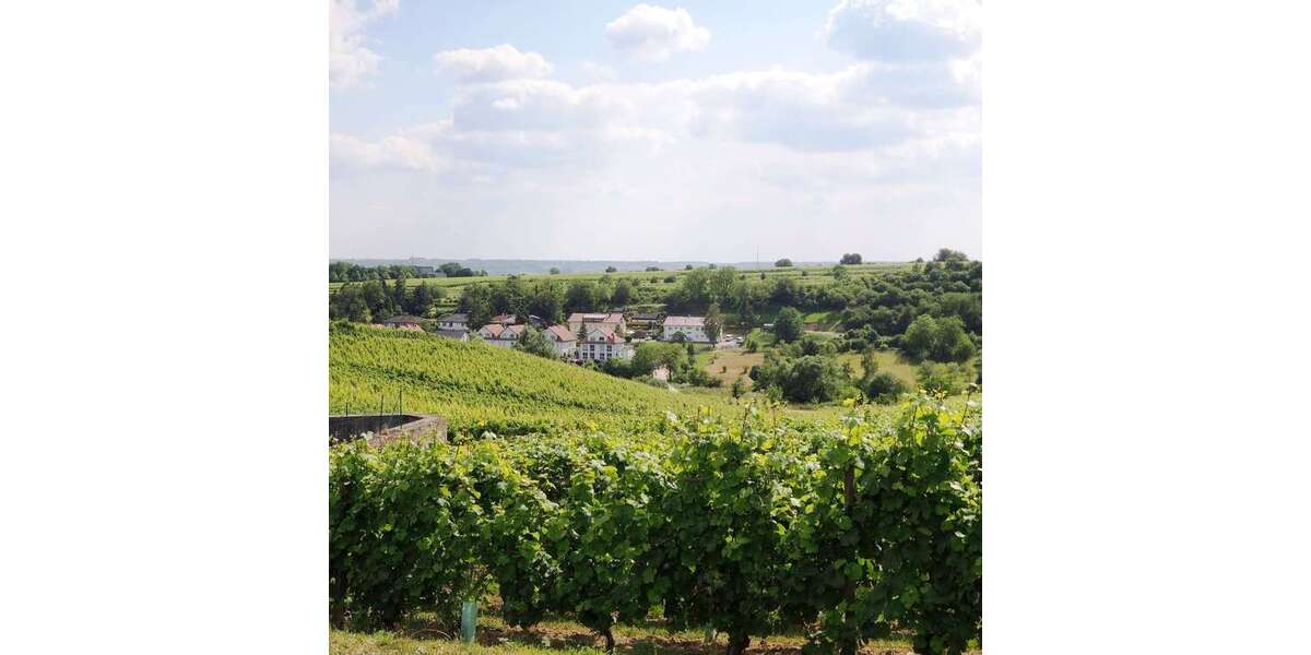 Einfamilienhaus Eltville am Rhein - 8 Zimmer, 183 m&sup2;, 2.750&euro; | Angebot:26161915