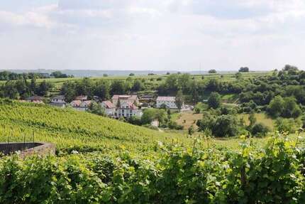 Haus Eltville am Rhein - 8 Zimmer, 183 m&sup2;, 2.750&euro; | Angebot:26161915