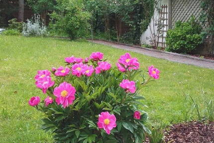 Wohnung Zorneding bei München Zorneding - 2 Zimmer, 90 m&sup2;, 1.450&euro; | Angebot:26190428