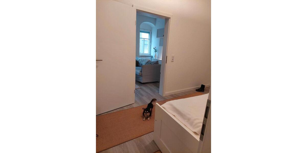 GETRENNT? Voll ausgestattete Wohnung in Roßwein – Querstraße 18 1 zimmer