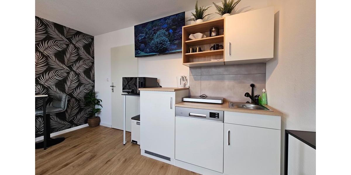 Wohnen auf Zeit Mannheim Neckarstadt-Ost - 1 Zimmer, 21 m&sup2;, 969&euro; | Angebot:26213565